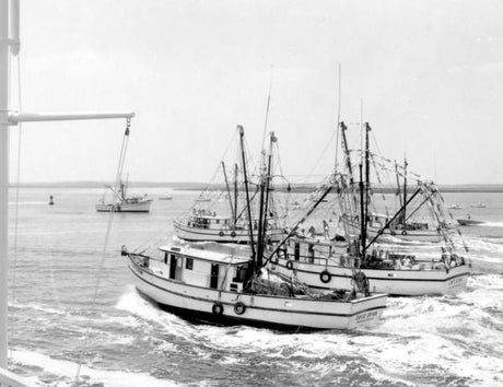 Fernandina Beach’s Shrimp Festival: A Coastal Tradition with Deep Roots