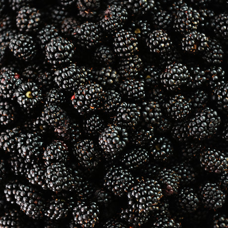 BLACKBERRY GINGER BALSAMIC VINEGAR