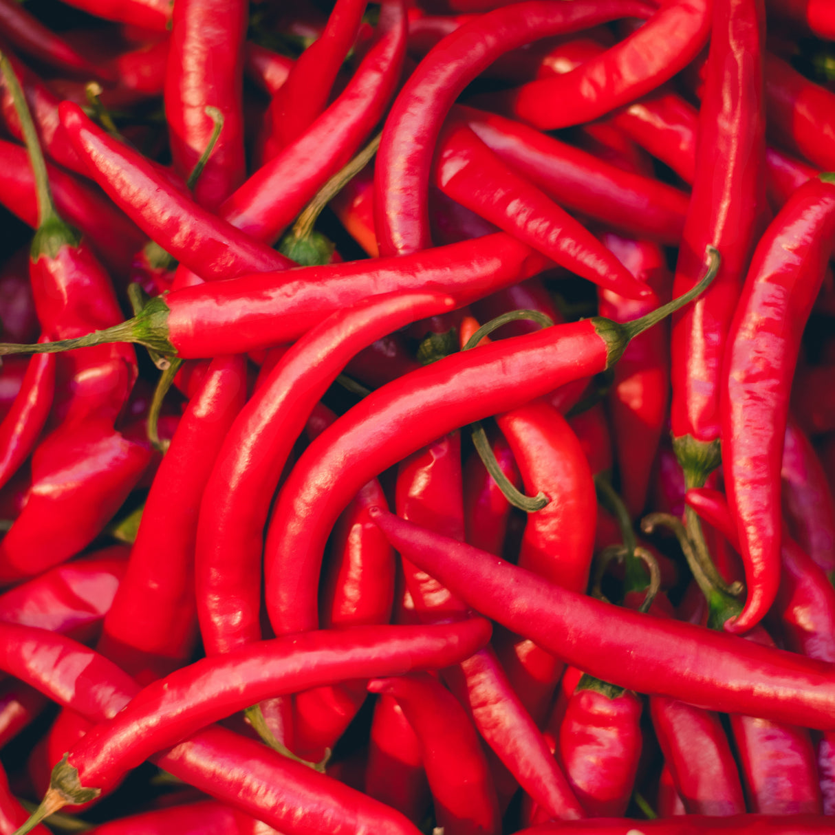 CAYENNE CHILI PEPPER OIL