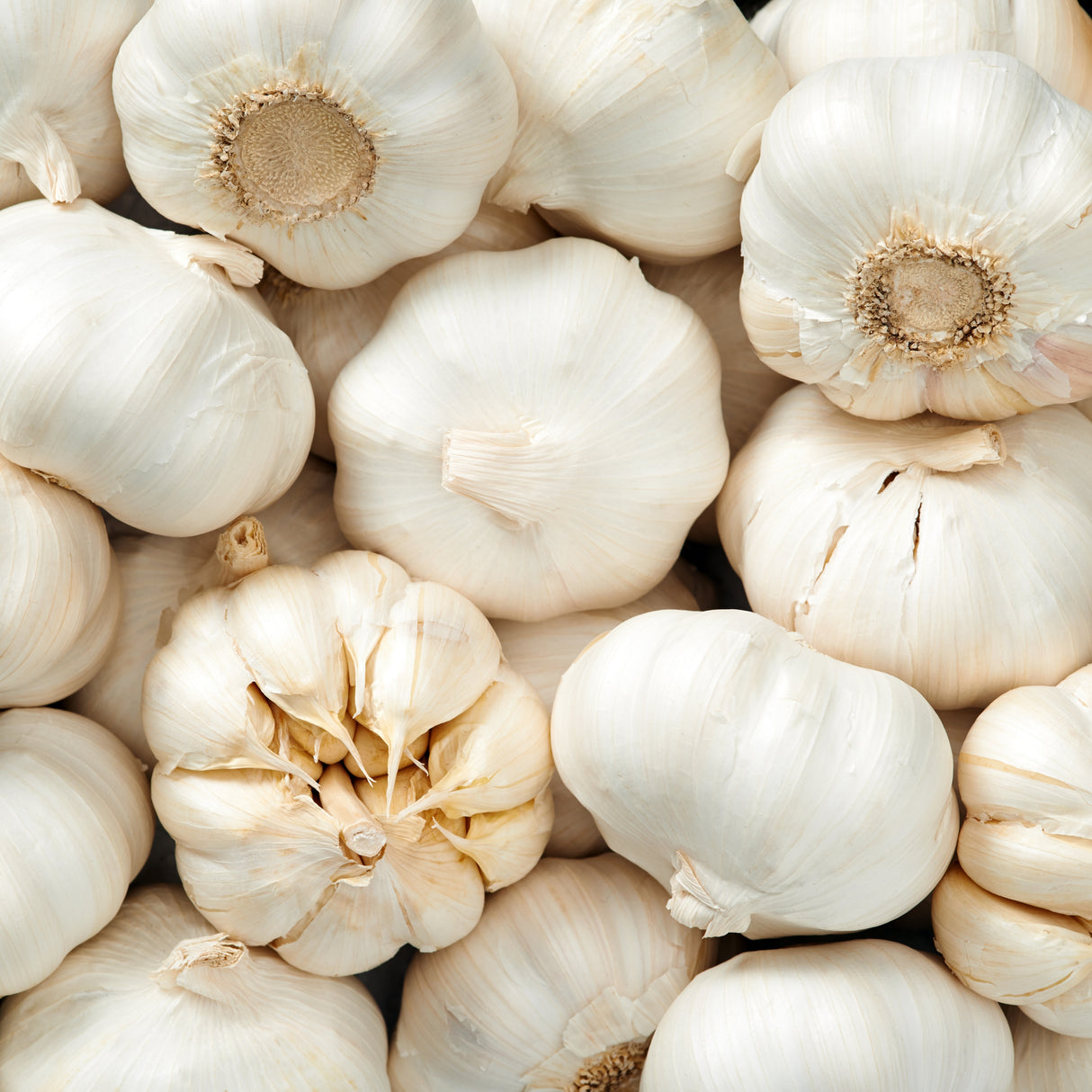GARLIC CHIVE WHITE BALSAMIC VINEGAR