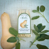 Butternut Squash Fettuccine / Dry Pasta/ Specialty Pasta
