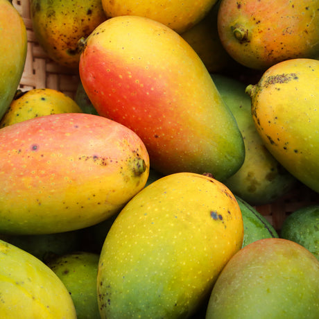 ALFOOS MANGO BALSAMIC VINEGAR