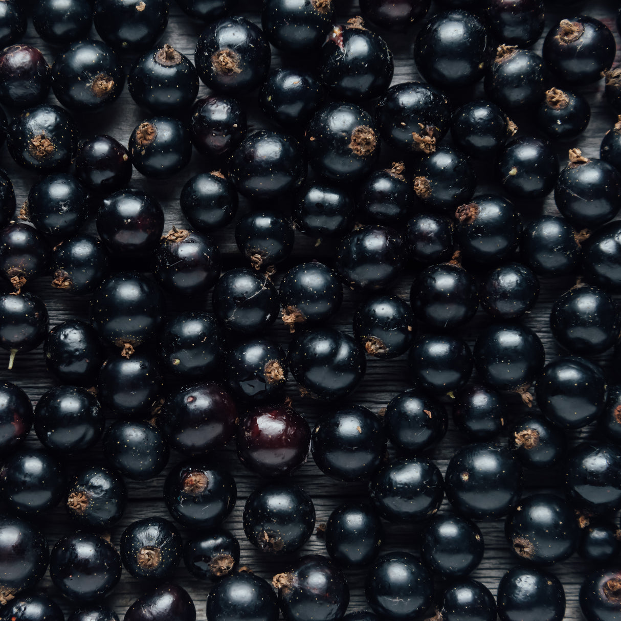BLACK CURRANT BALSAMIC VINEGAR