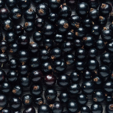 BLACK CURRANT BALSAMIC VINEGAR