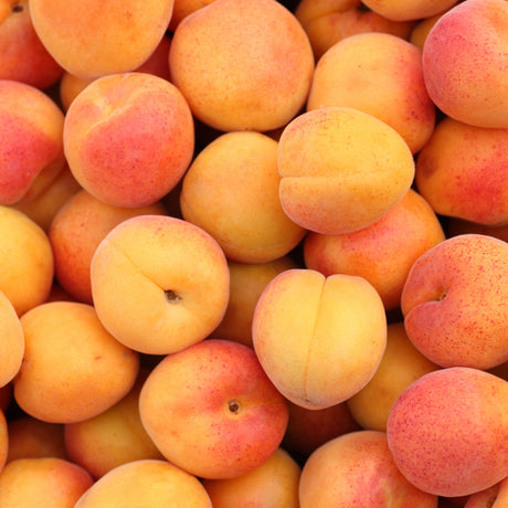 APRICOT BALSAMIC VINEGAR