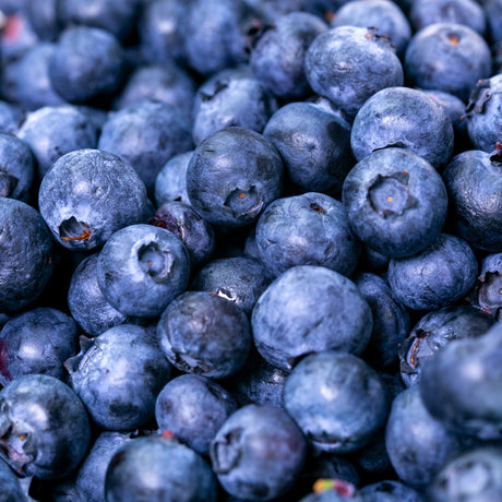 BLUEBERRY BALSAMIC VINEGAR