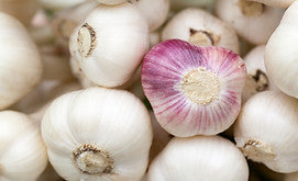 GARLIC OLIVE OIL