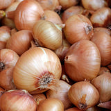 CILANTRO & ROASTED ONION OLIVE OIL