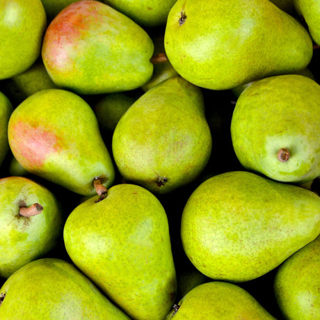 CINNAMON PEAR BALSAMIC VINEGAR