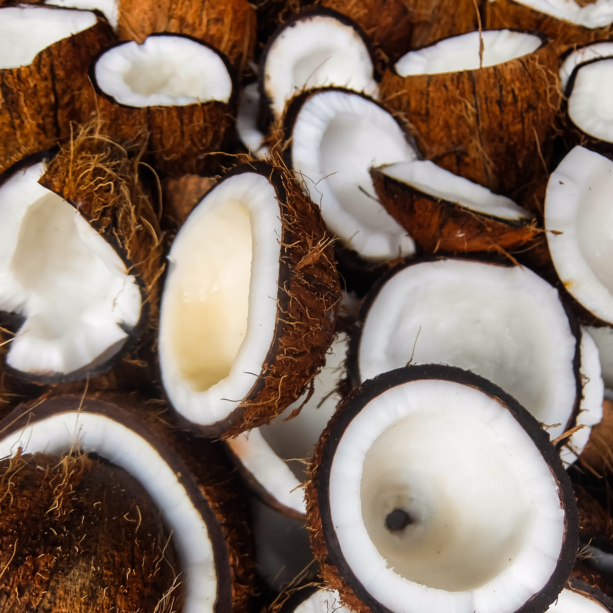 COCONUT BALSAMIC VINEGAR