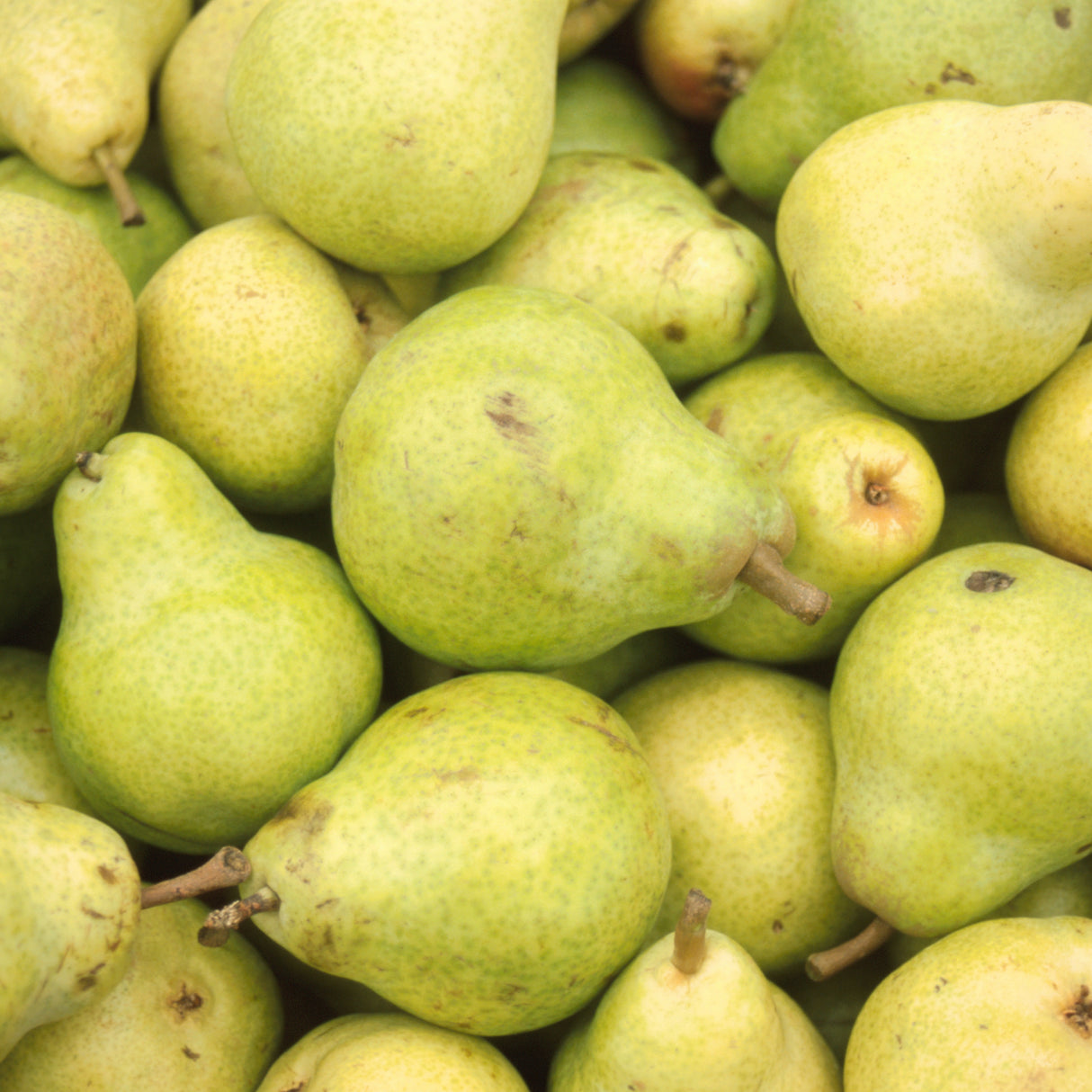 CRANBERRY PEAR BALSAMIC VINEGAR