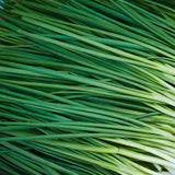 GARLIC CHIVE WHITE BALSAMIC VINEGAR