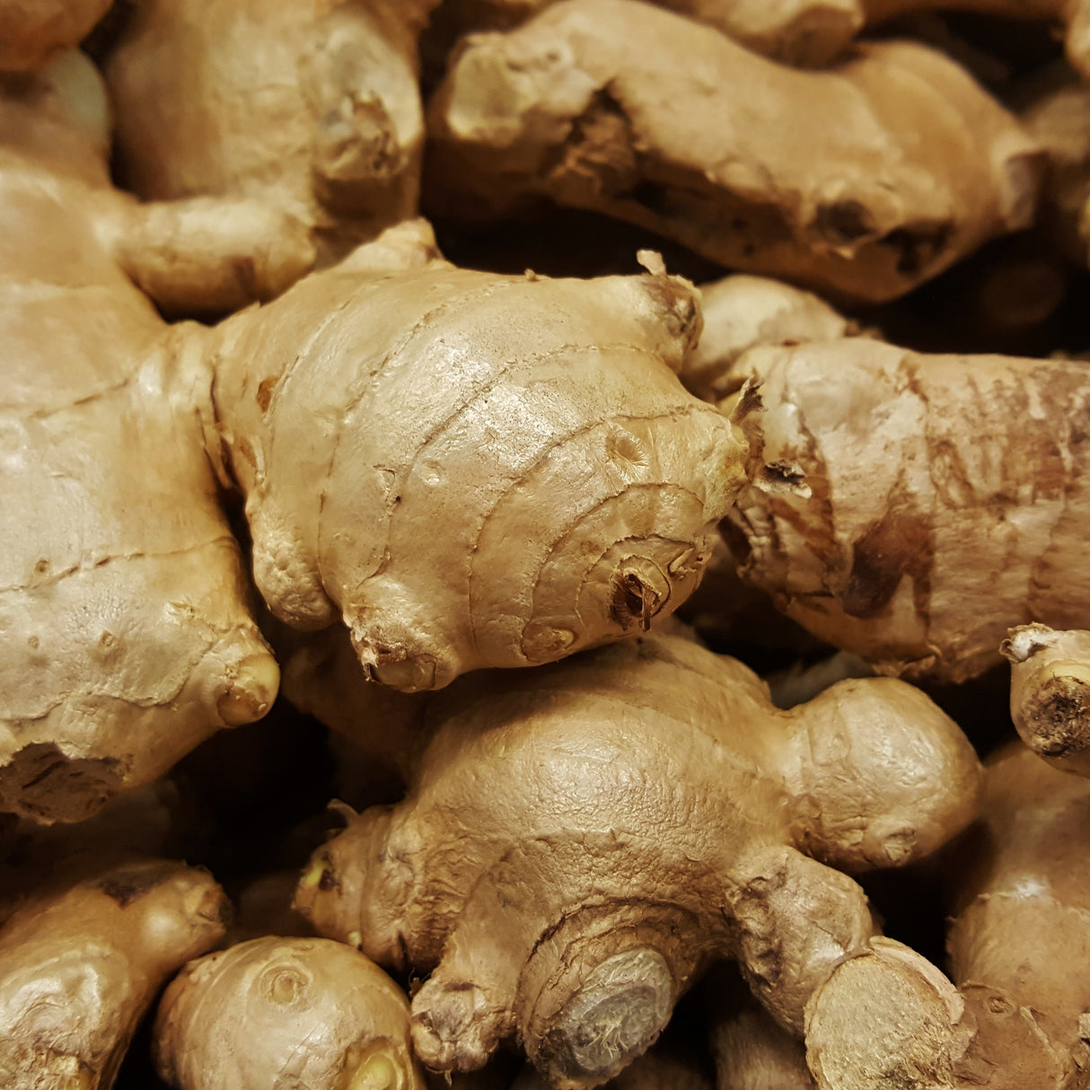 GINGER & BLACK GARLIC OLIVE OIL