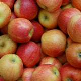 GRAVENSTEIN APPLE BALSAMIC VINEGAR