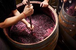RED WINE VINEGAR