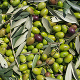 EVOO - CHETOUI OLIVE OIL