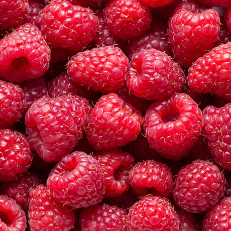 RASPBERRY BALSAMIC VINEGAR