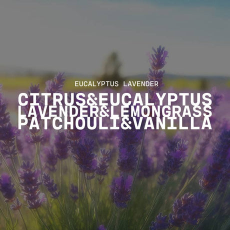 Eucalyptus Lavender Candle Statement Collection - 10 oz