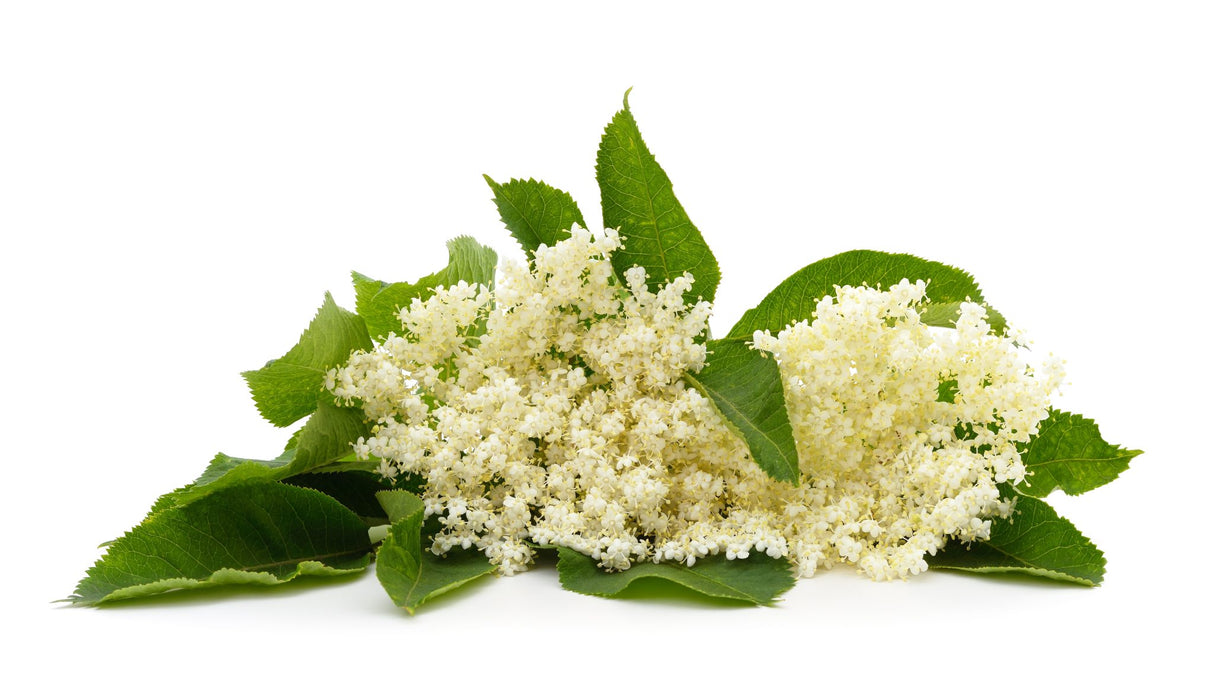 ELDERFLOWER BALSAMIC