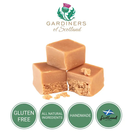 THANK YOU "DOGS" TIN - Vanilla Fudge
